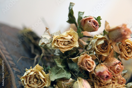 dry roses
