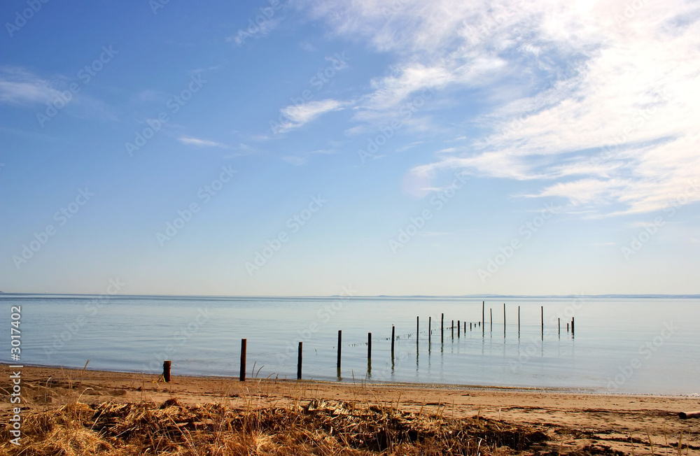 shore landscape