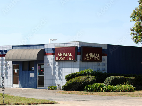 animal hospital