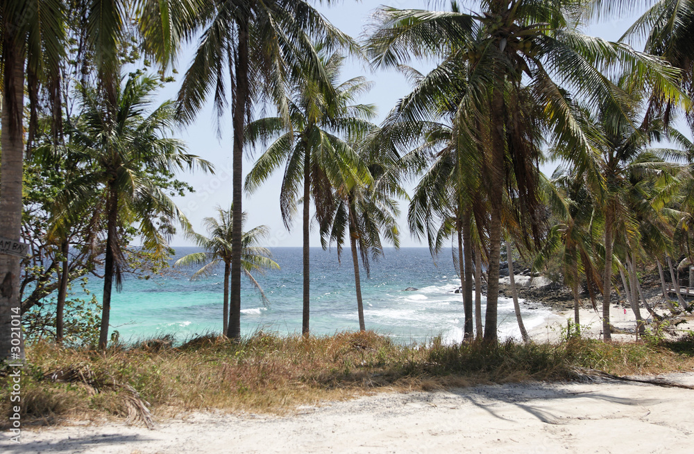 Obraz premium raya island