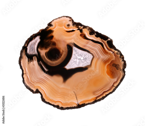 agate slice