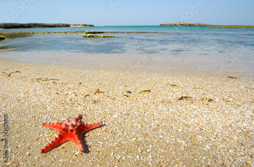 dream about summer vacation