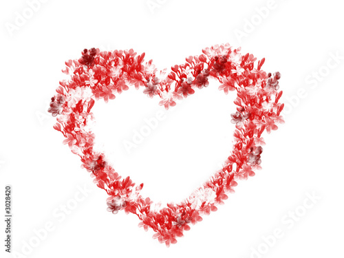 flower heart