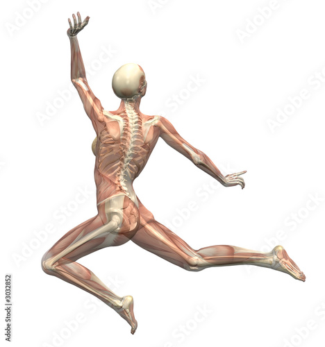 anatomy in motion - woman leaping 2