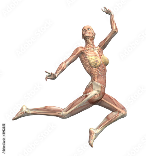 anatomy in motion - woman leaping 1