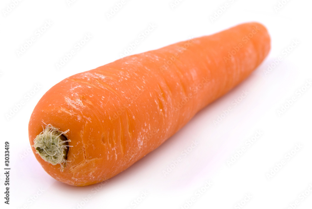 carrot carrot