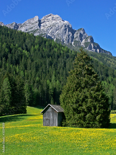 frühlingsluft