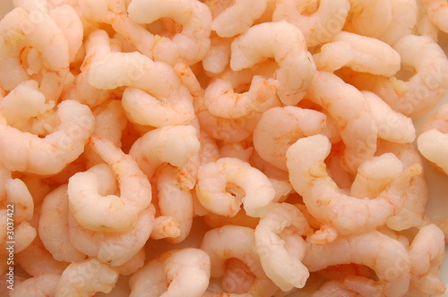 raw prawn