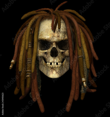 grunge skull with dreadlocks