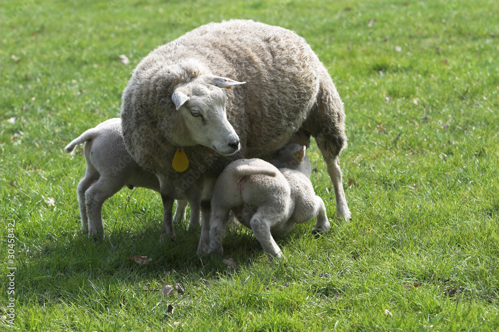 spring is in the air