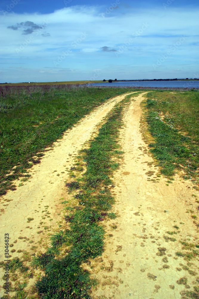 Fototapeta premium country road