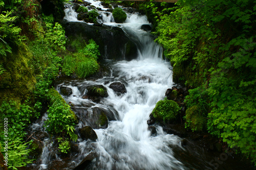wahkeena falls