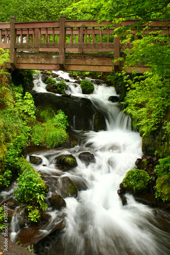 bridge over wahkeena falls