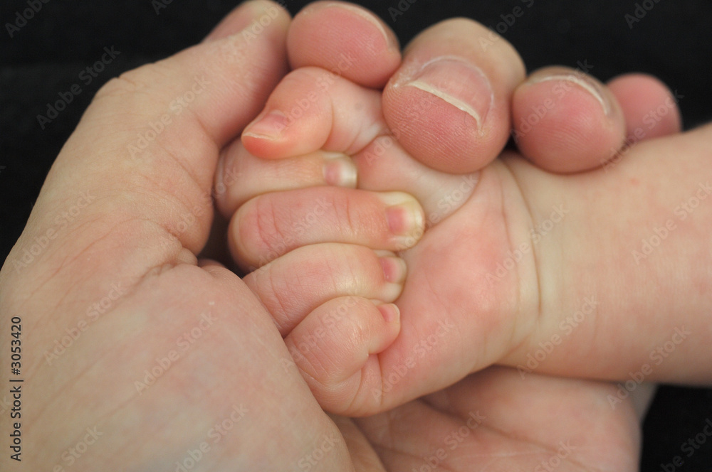 baby hand holding finger baby hand holding finger