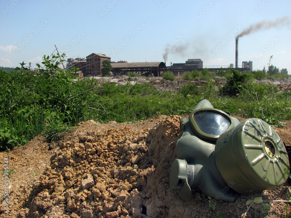 custom made wallpaper toronto digitaldying nature