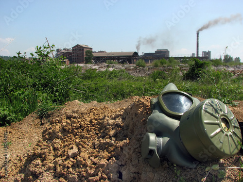 Wallpaper Mural dying nature Torontodigital.ca