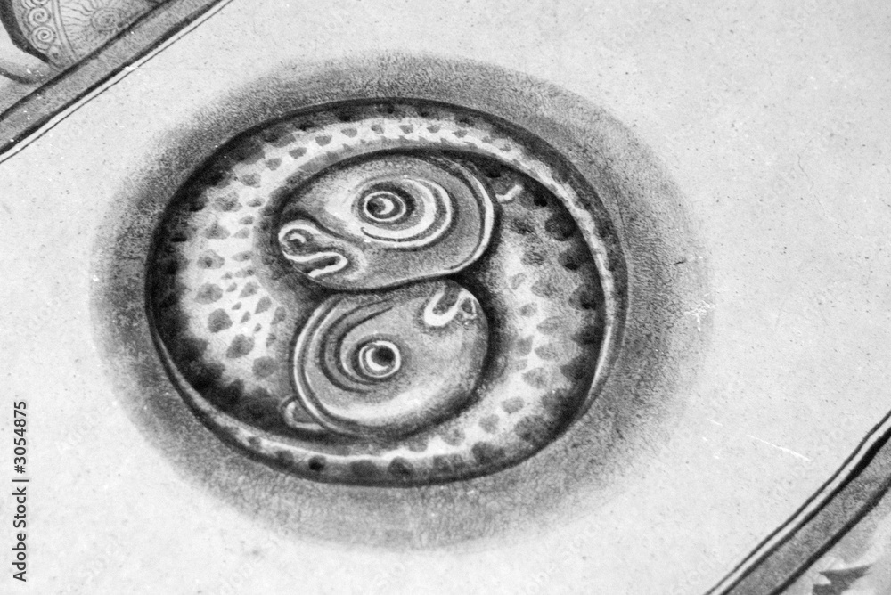 zen simbol within fishes