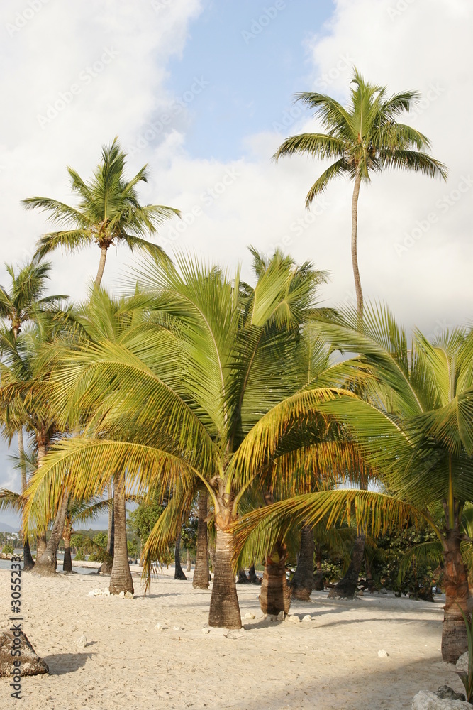 Obraz premium plage de reve