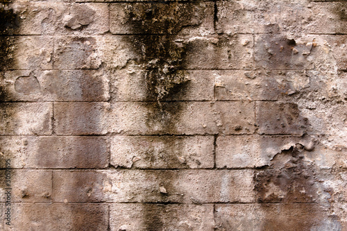 seamless surface of brick wall photo