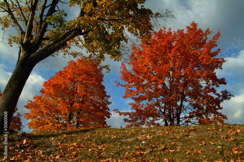 automn