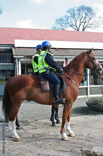 horses police in city