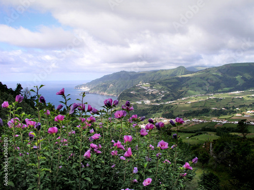 azores lanscape