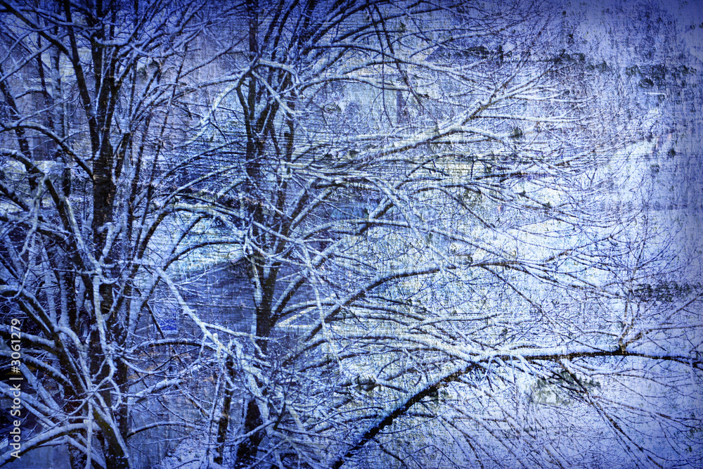 Obraz premium blue tree background