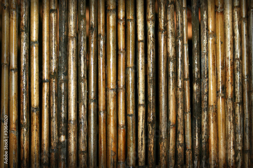 bamboo background pattern