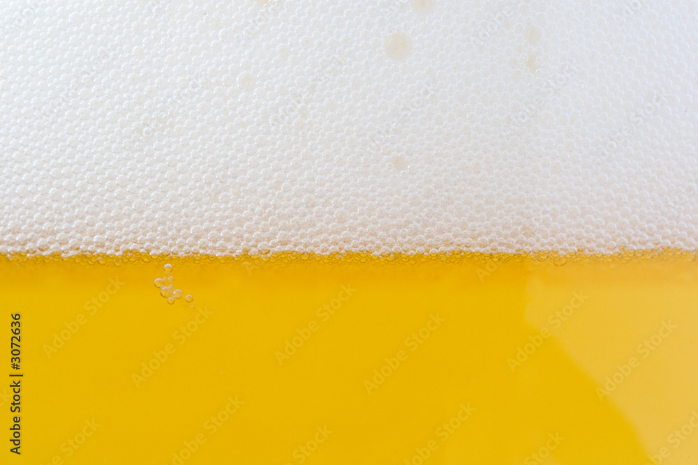 beer bubbles beer bubbles
