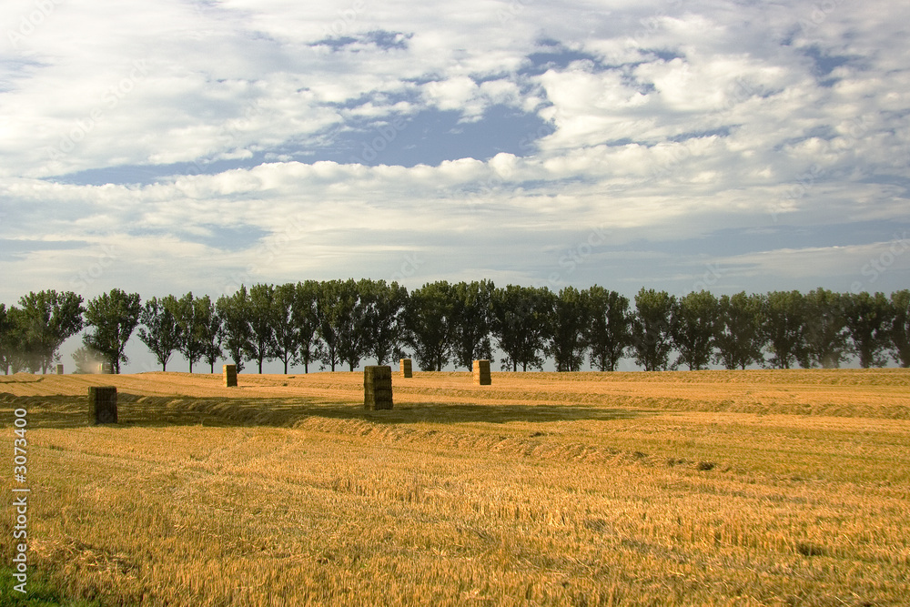 Fototapeta premium herbst