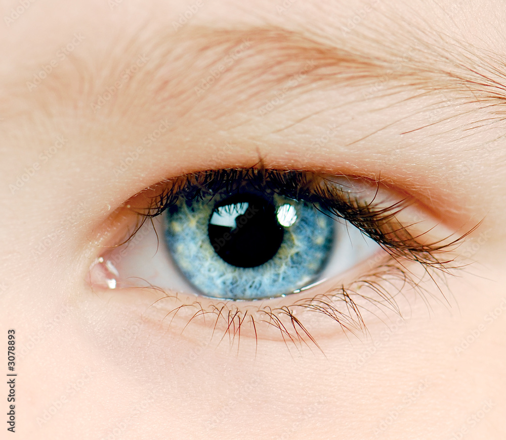 Obraz premium blue eye