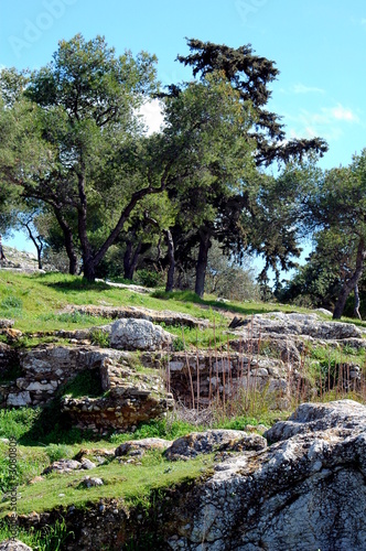 ancient ruins of a city at the acropolis