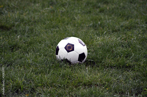 soccer ball in a grass field © Andrew Scheck