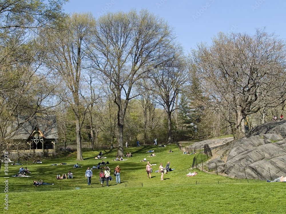 Fototapeta premium nice afternoon