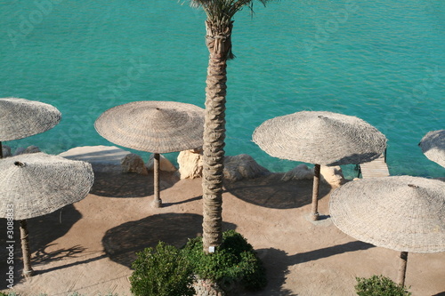 umbrellas on egyptian beach
