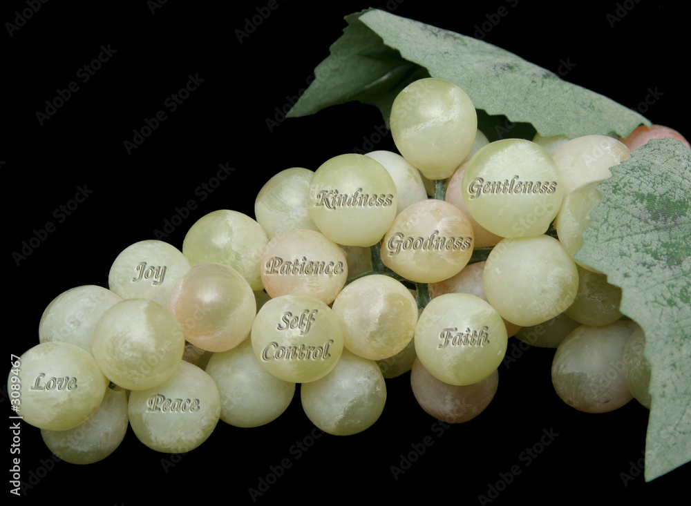 Fototapeta premium fruits of the spirit