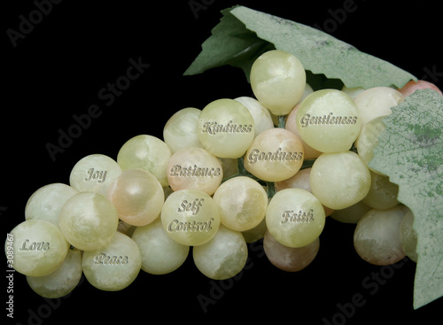 fruits of the spirit