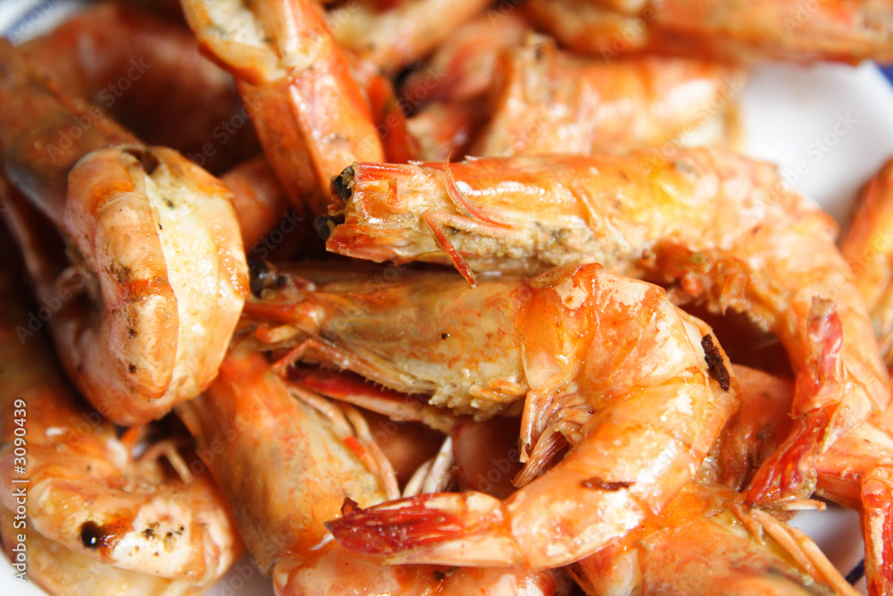 shrimps shrimps