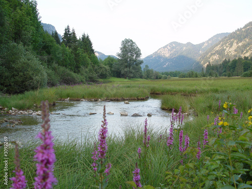 landschaft