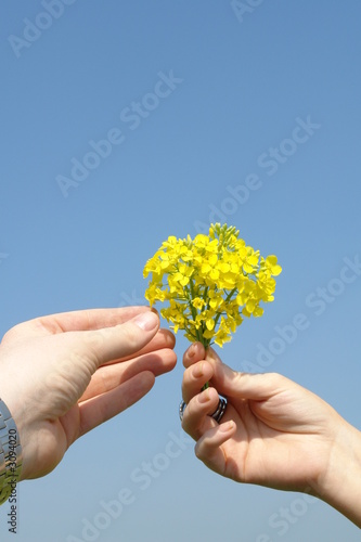 giving flowers
