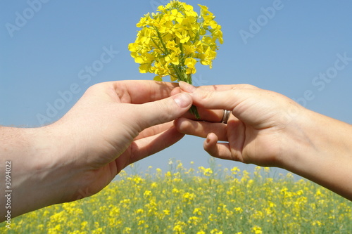 giving flowers