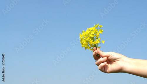 giving flowers