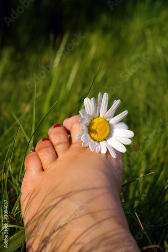 summer feeling