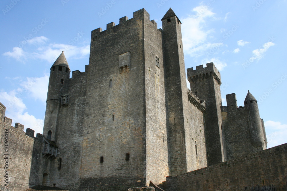Chateau de Beynac