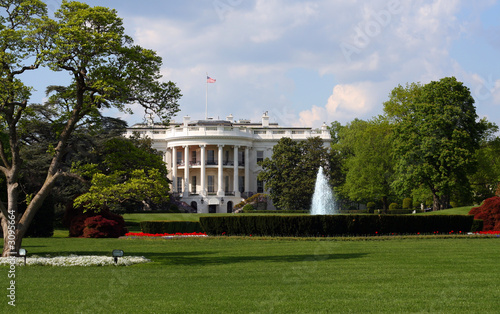 the white house