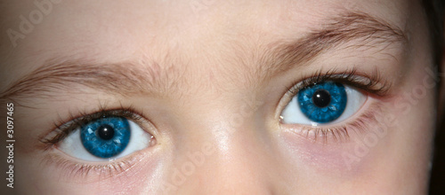 yeux bleu