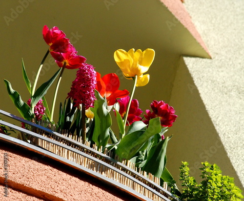 balkon 2