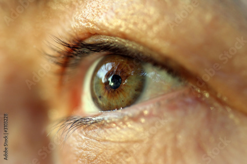 human eye. macro shooting...