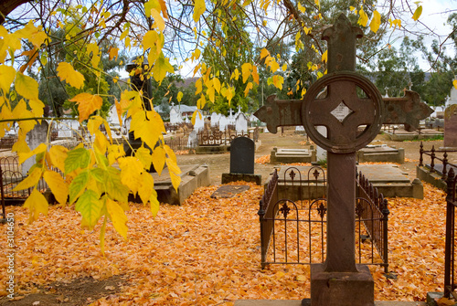 historic cemetery in autumn