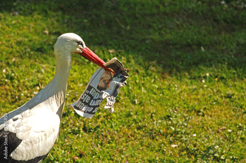zeitungsleser